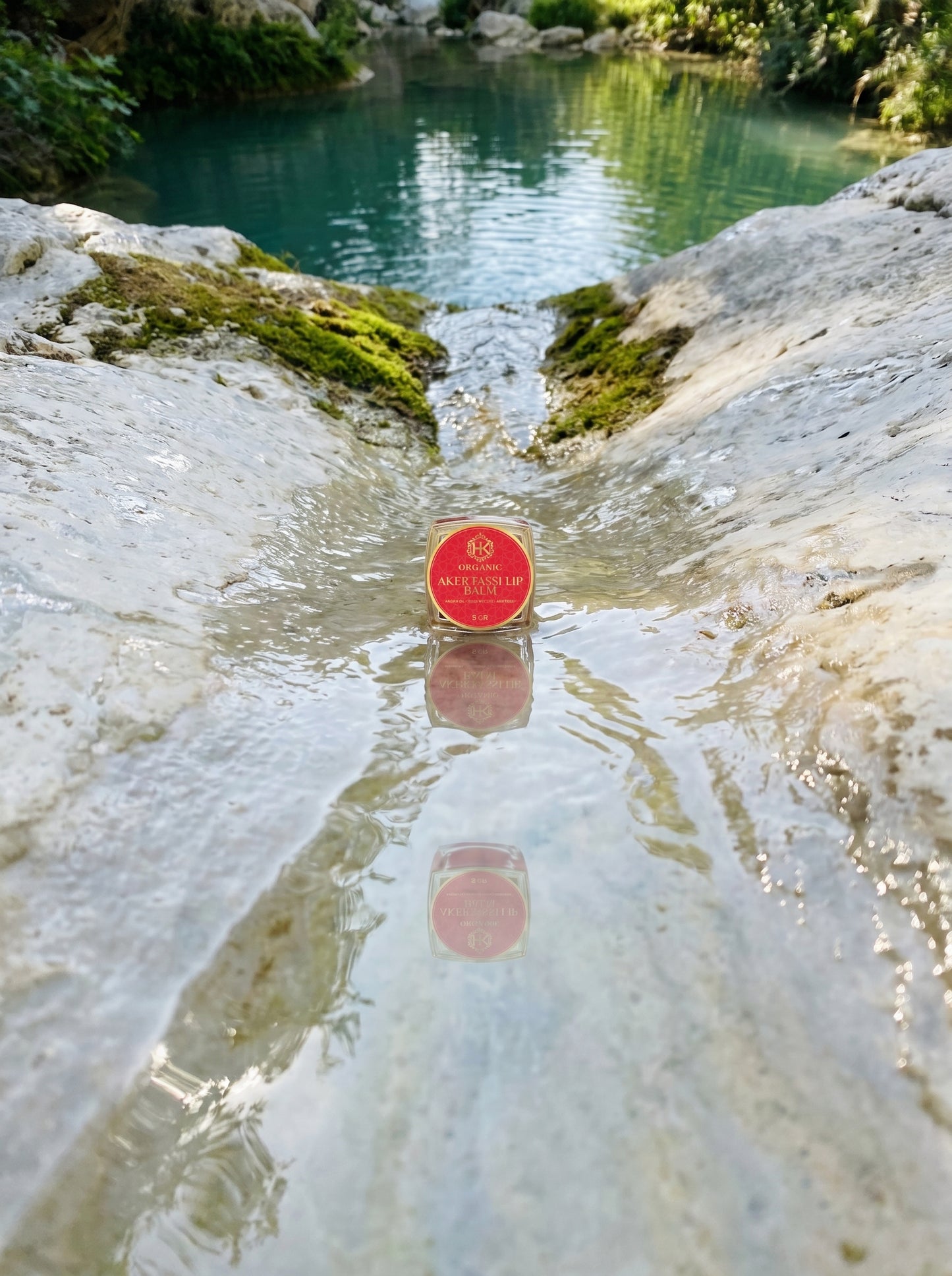 Red warning sign in clear water with rocks and greenery in the background