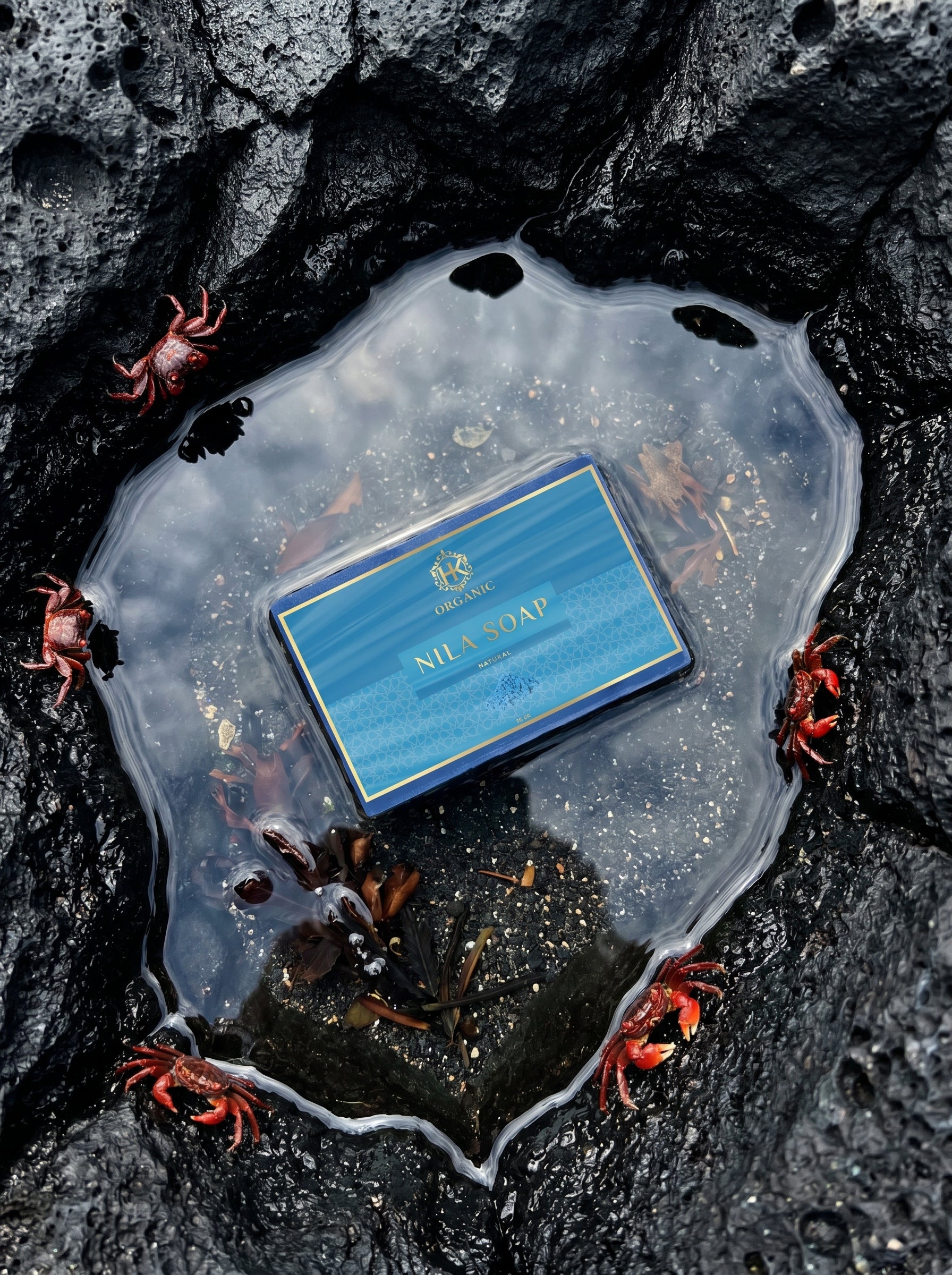 Nile Crystal watch on a rocky surface with crabs around